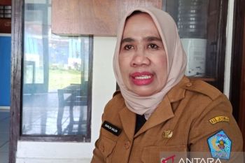 Pemkab Jayawijaya dorong kapasitas perempuan di sektor UMKM