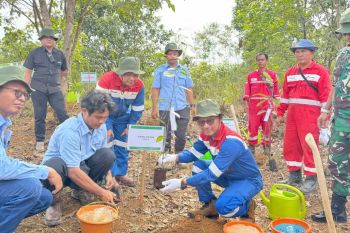 Pertamina EP tanam ribuan pohon di Lintas Jalur Gajah sebagai komitmen pelestarian lingkungan