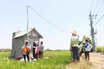 Program "Electrifying Agriculture SUPER PANEN" bantu petani lebih berdaya