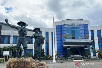 Potensi perkebunan pala di Sultra cukup menjanjikan capai 7.158 hektare