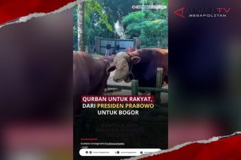 Qurban untuk rakyat, dari Presiden untuk Bogor