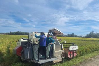 Nilai tukar petani Sumsel turun 2,10 persen pada Juni 2025