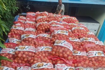 Bea Cukai menggagalkan penyelundupan 21 ton bawang Bombai ilegal