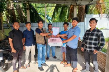 BKSDA Sumbar terima anak trenggiling usai masuk ke tambak udang di Agam (Video)