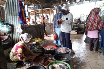 Mataram bakal punya PD Pasar dan Parkir