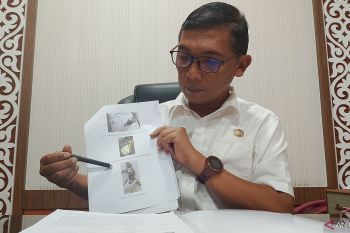 Pemkot Bukittinggi ungkap dugaan kelainan genetik bayi harimau mati di TMSBK