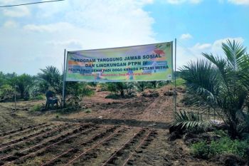 PTPN IV pacu swasembada pangan lewat bantuan 22 ton benih padi