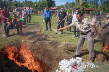 Balai Karantina musnahkan komoditas ilegal asal Malaysia-Singapura
