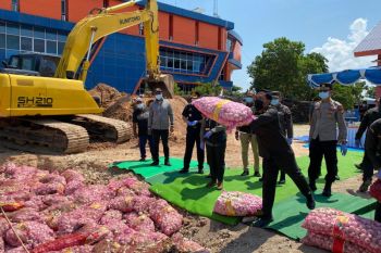 Puluhan ton bawang ilegal di Kepri dimusnahkan oleh Karantina dan Bea Cukai