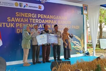 Pemprov Jateng-BI bersinergi pulihkan  sawah di Grobogan dan Demak