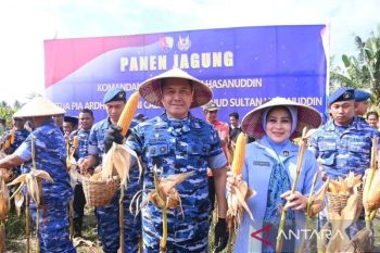 TNI AU perkuat ketahanan pangan