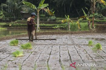 Nilai tukar petani Banten Juni 2025