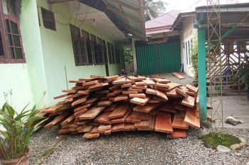 Polisi Kehutanan gencarkan patroli cegah ilegal loging di hutan lindung Pasaman