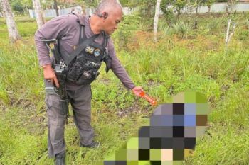 KKB serang honorer Pemda Yahukimo hingga meninggal di Dekai