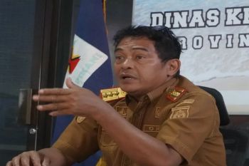Sulbar bangun kawasan sentra industri perikanan di Mamuju