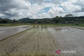 Pemkab Bantul lanjutkan pemasangan elektrifikasi pertanian di 101 titik lahan