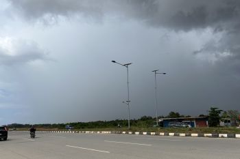 BBKSDA intensifkan patroli cegah karhutla di Kepri