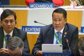 Indonesia's global royalty proposal officially included in WIPO agenda