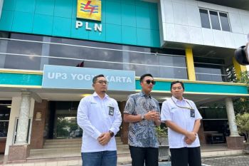 Wamen BUMN pastikan pelayanan PLN untuk rakyat