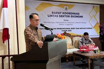 Pemprov Sulbar targetkan pertumbuhan ekonomi delapan persen pada 2029