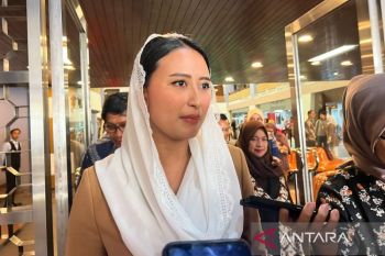 Wamendag tegaskan RI perluas ekspor di tengah negosiasi tarif AS