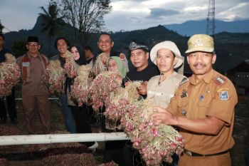 Pemprov Kaltara dan Pemkab Enrekang Siap Kerja Sama Jaga Stabilitas Pangan