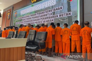 Polda Riau tetapkan dua tersangka perambah 143 hektare hutan di Rokan Hulu