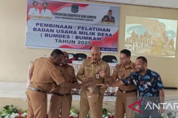 Pemkab Biak dorong BUMDes suplai kebutuhan pangan MBG