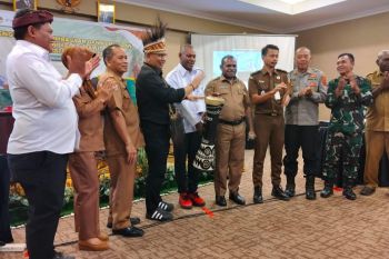 Pemprov Papua Selatan mendukung Apkasindo tingkatkan kualitas SDM