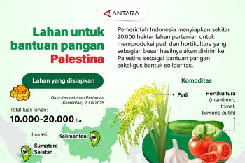 Lahan untuk bantuan pangan Palestina