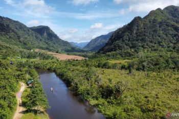 Solok Selatan catat 70 persen masyarakat bergantung pada hutan