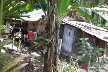 Viral lansia tinggal di pondok di Tanah Datar, ini penjelasan pemerintah nagari