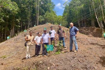 Dukung konservasi di Tahura Lapak Jaru, PLN raih penghargaan CSR Awards 2025