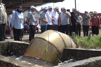 Pemprov Sumsel buka peluang kerja sama pertanian dengan Palestina