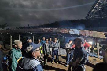 BBTNBBS telusuri pergerakan harimau setelah menerkam manusia di Lampung Barat