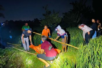 Warga Geger Penemuan Mayat Lansia di Persawahan Kediri Lombok Barat