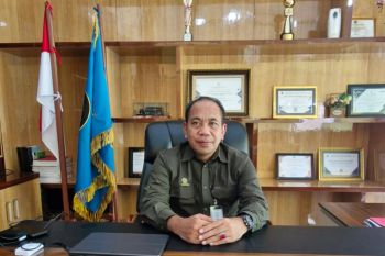 Balai Gakkum Sulawesi tegas larang perambahan hutan tanpa IPPKH