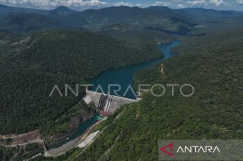 Pemprov bangun lima pembangkit listrik tenaga air di Sultra