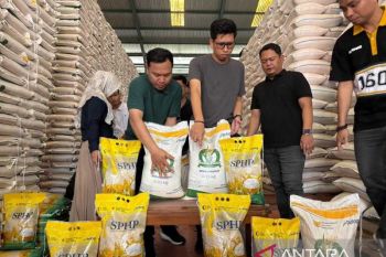 Bulog-Sulteng target penyaluran SPHP 13.056 ton tekan harga pasar