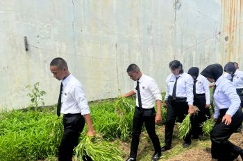 Rutan Batam panen 150 kg kangkung, untuk dukung ketahanan pangan nasional