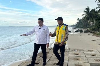Stafsus Menko memperjuangkan pembangunan pengaman pantai Matang Danau