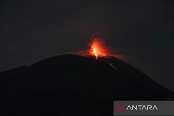 PVMBG: Aktivitas erupsi Gunung Lewotolok meningkat signifikan