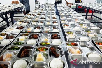 Supplier Ikan di Kayu Agung Kembangkan Usaha Berkat Pinjaman BRI dan Program MBG