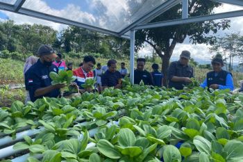 Pertamina hadirkan Wayame Hydro Bae di Ambon guna tingkatkan ekonomi masyarakat