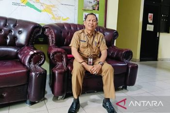 Persiapan festival pacu jalur 2025 di Tepian Narosa sudah matang