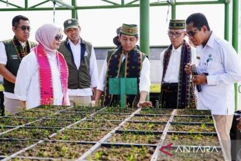 Kemenhut fokuskan hutan untuk pangan hingga hilirisasi pada 2026