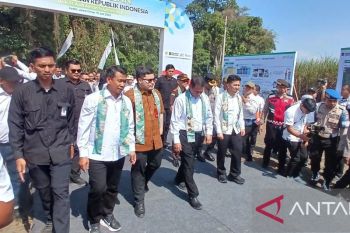 Menteri Pertanian tindak tegas soal beras oplosan