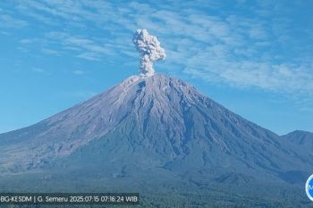 Gunung Semeru erupsi dengan letusan hingga 1,2 km