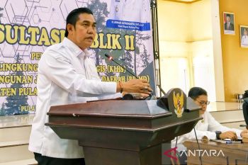 Pemkab Pulang Pisau prioritaskan KLHS dalam RPJPD