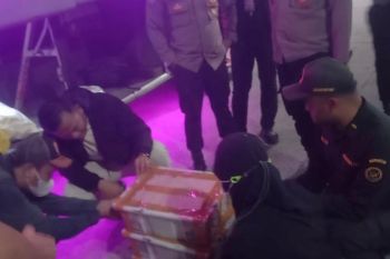 Karantina Lampung sita 120 ekor burung tanpa dokumen resmi di Bakauheni